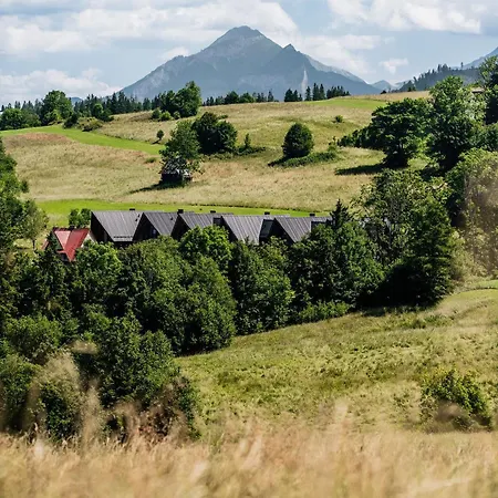 Crystal Pine - Loftaffair Collection